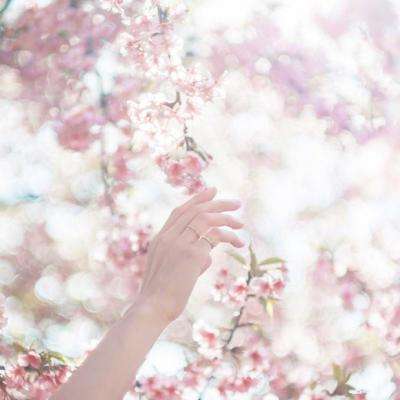 开元ky7818老版本app下载